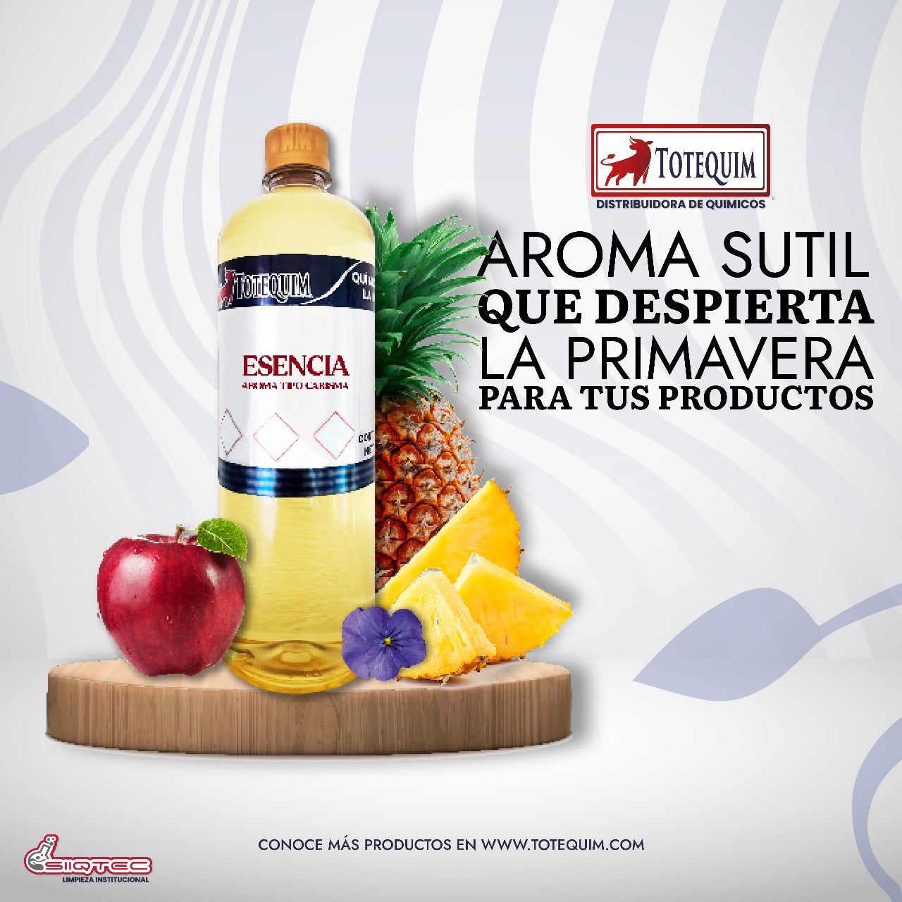 ESENCIA AROMA CARISMA