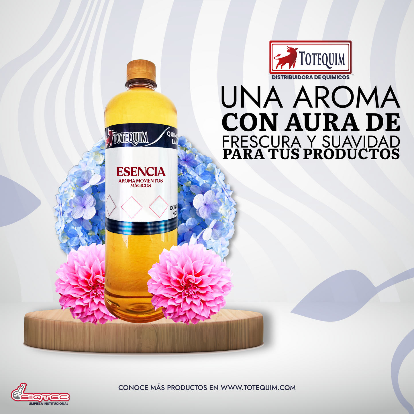 ESENCIA AROMA MOMENTOS MÁGICOS